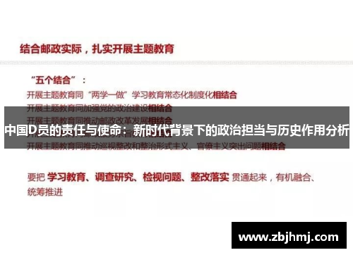 中国D员的责任与使命:新时代背景下的政治担当与历史作用分析 中国D员的责任与使命:新时代背景下的政治担当与历史作用分析