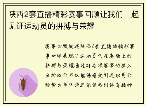 陕西2套直播精彩赛事回顾让我们一起见证运动员的拼搏与荣耀